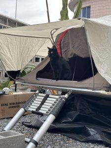 艺术2152 贺登鑫 麦恩德 12.19-现代学徒制-运行管理系统