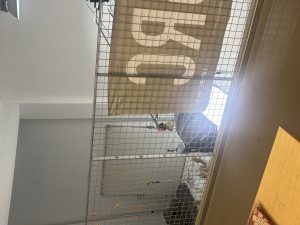 艺术2152 贺登鑫 麦恩德 12.5-现代学徒制-运行管理系统