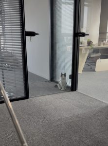 艺术2152-吴佳颖12.19梦城-现代学徒制-运行管理系统