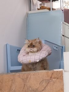 图片[2]-太仓Marry Me婚礼策划学徒制日志-现代学徒制-运行管理系统