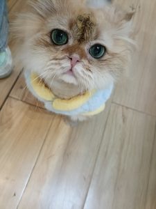 图片[2]-太仓Marry me婚礼策划企业学徒日志-现代学徒制-运行管理系统