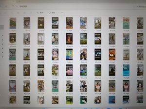 太仓Marry me 婚礼策划企业学徒日志-现代学徒制-运行管理系统