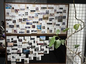 图片[2]-艺术2252龚王轩1月8日婚庆公司学徒制实习-现代学徒制-运行管理系统