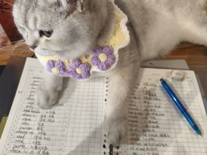 图片[4]-百子莲婚庆学徒日志2026.1.6-现代学徒制-运行管理系统