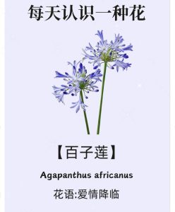 图片[2]-百子莲婚庆学徒日志2026.1.6-现代学徒制-运行管理系统