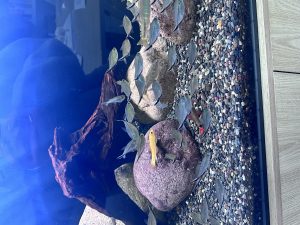 图片[3]-文创店实习第4天日志-现代学徒制-运行管理系统