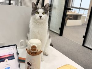 图片[2]-艺术2252傅蕾梦城文化传媒公司学徒日志1.5-现代学徒制-运行管理系统