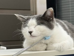 艺术2252傅蕾梦城文化传媒公司学徒日志1.16-现代学徒制-运行管理系统