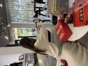 艺术2152陈姜卉 艾拉婚庆 2025.12.10-现代学徒制-运行管理系统