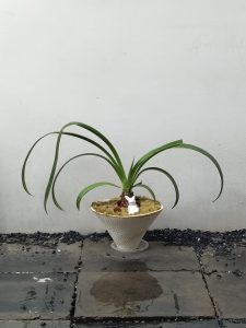 图片[3]-艺术2251 徐鑫璐 2026.5.20 上核文化-现代学徒制-运行管理系统