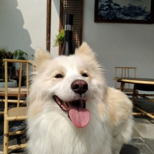 图片[3]-艺术2251 徐鑫璐 2026.5.29 上核文化-现代学徒制-运行管理系统