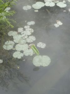 图片[3]-艺术2251徐鑫璐 2026.5.18 上核文化-现代学徒制-运行管理系统