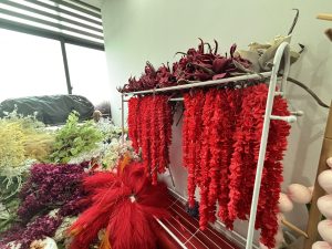 图片[1]-艺术2251 尤佳林 苏州梦城文化传媒 2026 5.20-现代学徒制-运行管理系统