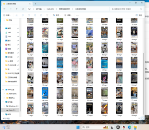 图片[1]-艺术2251 刘晓钰 百子莲 2026.5.19-现代学徒制-运行管理系统