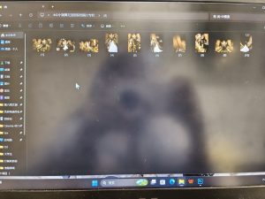 图片[2]-艺术2251张晓涵Marryme5/20/实训日志-现代学徒制-运行管理系统