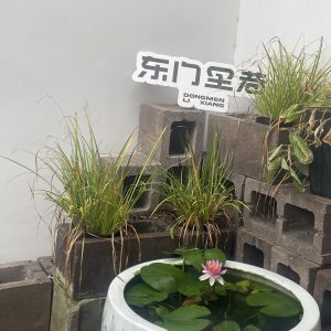 图片[1]-艺术2251陈秋萍上核文化2026.5.20-现代学徒制-运行管理系统