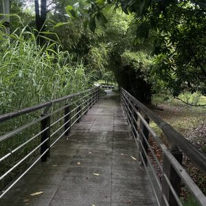 图片[3]-艺术2251陈秋萍上核文化2026.5.20-现代学徒制-运行管理系统