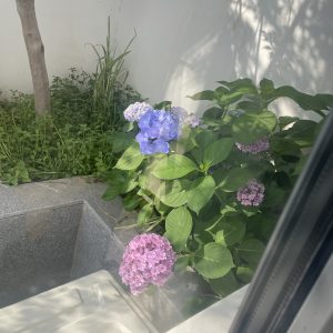 图片[2]-艺术2251陈秋萍上核文化2026.5.28-现代学徒制-运行管理系统