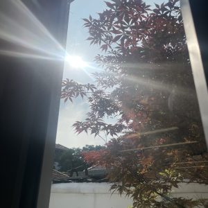 图片[1]-艺术2251陈秋萍上核文化2026.5.28-现代学徒制-运行管理系统