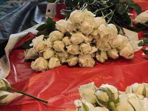 图片[2]-艺术2252 顾晓瑜 艾拉婚庆 2026.5.15-现代学徒制-运行管理系统
