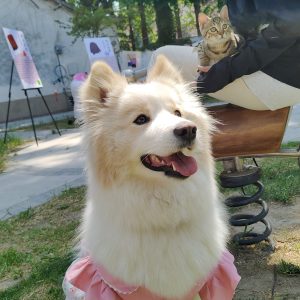 图片[2]-艺术2251徐鑫璐 2026.5.15上核文化-现代学徒制-运行管理系统