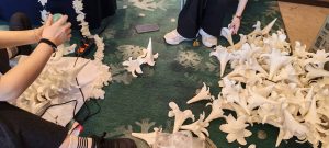 图片[3]-艺术2252李雨婷艾拉婚庆2026.5.15-现代学徒制-运行管理系统