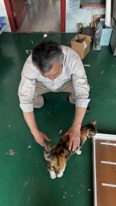 图片[3]-艺术2251 孙元静 宏翔图文 2026.5.15-现代学徒制-运行管理系统