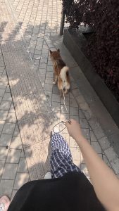 图片[5]-艺术2251 孙元静 宏翔图文 2026.5.22-现代学徒制-运行管理系统