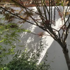 图片[3]-艺术2251 徐鑫璐 2026.6.1 上核文化-现代学徒制-运行管理系统